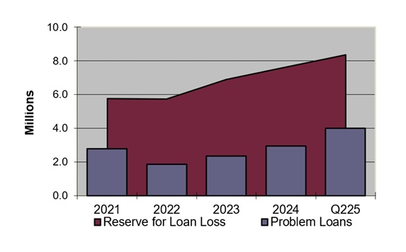 Loan Loss Allowance and Problem Loans