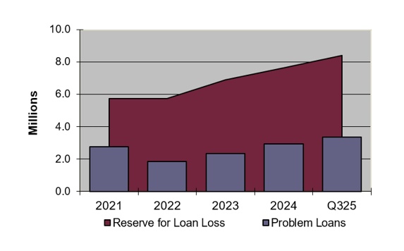 Loan Loss Allowance and Problem Loans