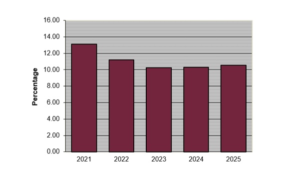 Return on Stockholders' Equity